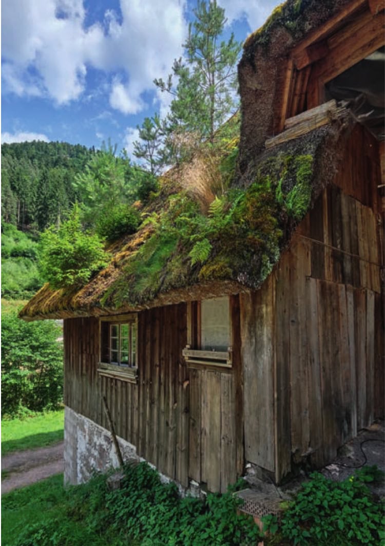 Schwarzwald_Buch-B-068