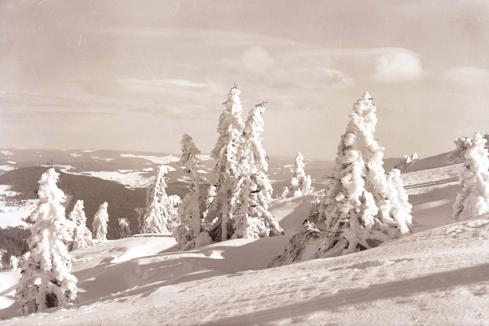1991_0140_099537_Kopie