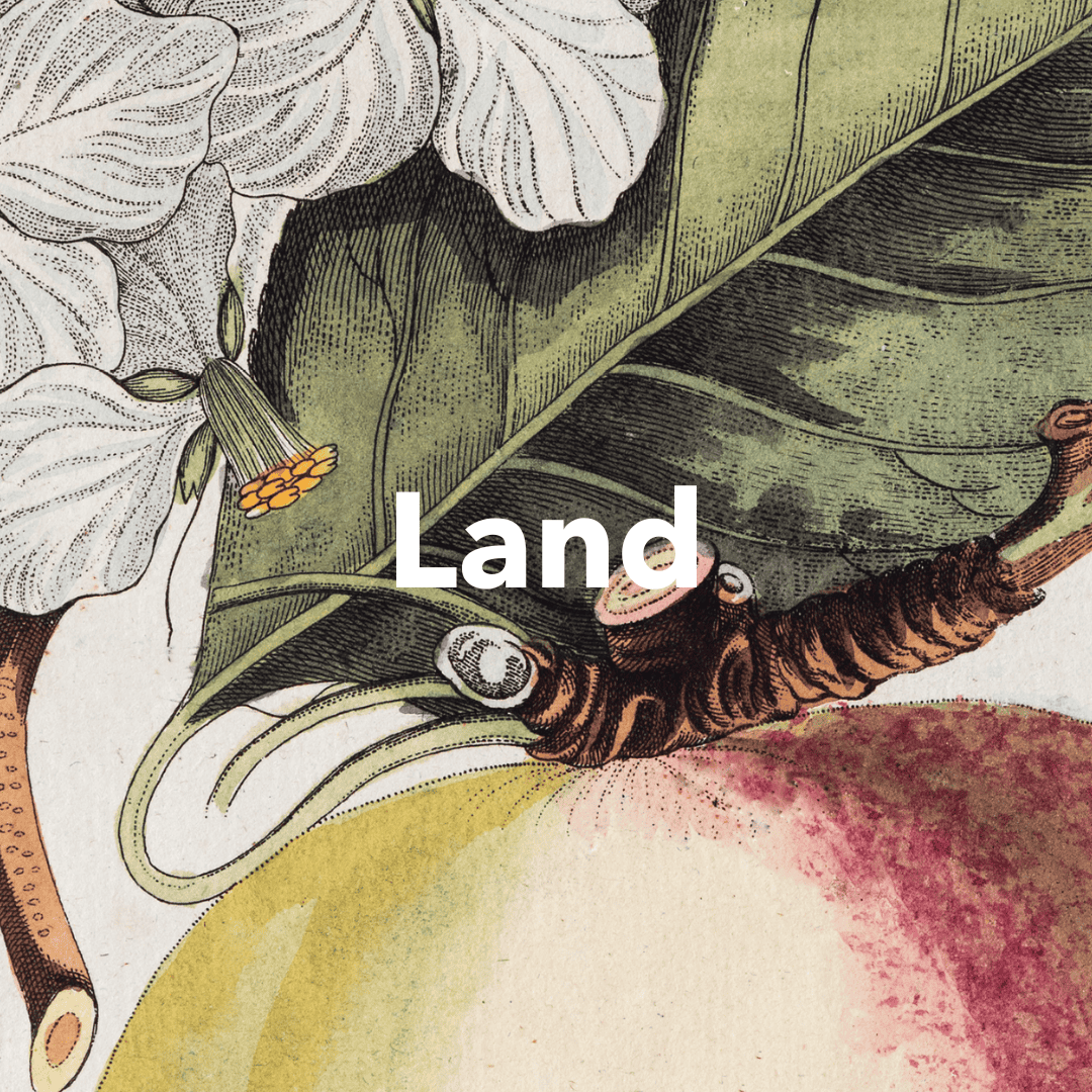 Land